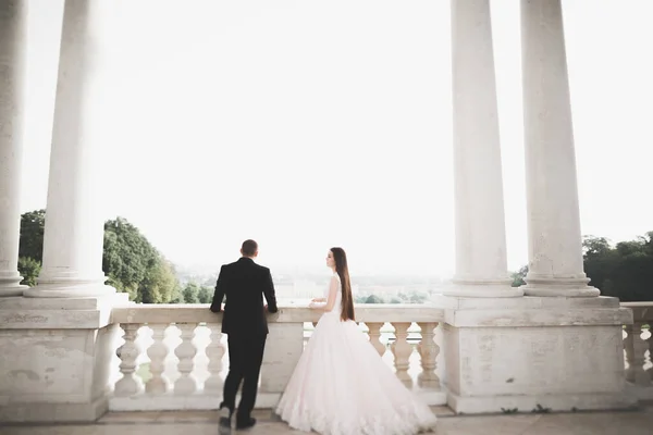 ウィーンの街でポーズをとる豪華な結婚式のカップル、花嫁と新郎 — ストック写真