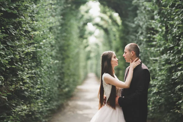 Luxus-Hochzeitspaar, Braut und Bräutigam posieren in Wien — Stockfoto