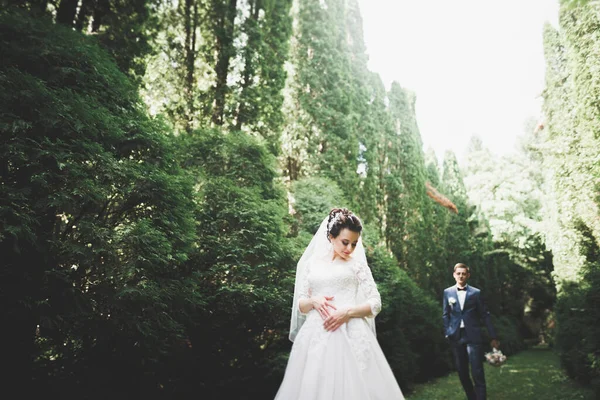 Romântico Conto Fadas Feliz Casal Recém Casado Abraçando Beijando Parque — Fotografia de Stock