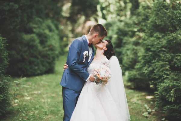 Pareja Feliz Boda Caminando Parque Botánico — Foto de Stock