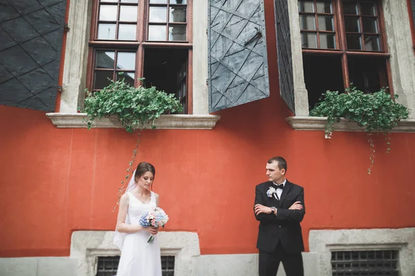 Pareja Perfecta Novia Novio Posando Besándose Día Boda —  Fotos de Stock