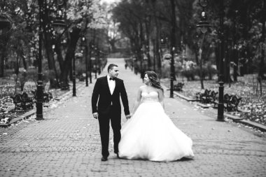 Parkta kucaklaşan yeni evli çiftin güzel romantik düğünü.