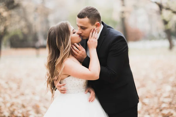 Schönes romantisches Hochzeitspaar, das sich im Park umarmt — Stockfoto