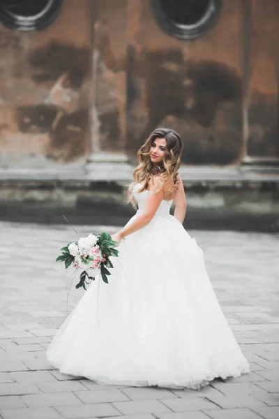 Hermosa novia de lujo en vestido blanco elegante —  Fotos de Stock