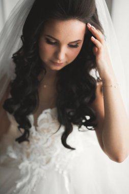 Tüylü, lüks makyaj, saç stili, stüdyo içi fotoğraf çekimi olan güzel bir gelin..