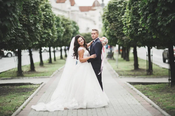 Bela Noiva Noivo Abraçando Beijando Seu Dia Casamento — Fotografia de Stock