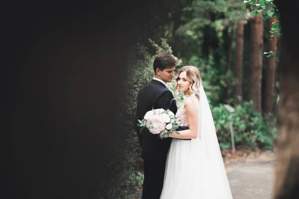 Piękny Romantyczny Ślub Para Nowożeńców Przytulających Się Parku — Zdjęcie stockowe