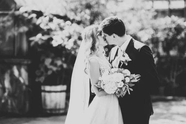 Bella Coppia Sposi Romantici Che Abbracciano Nel Parco — Foto Stock