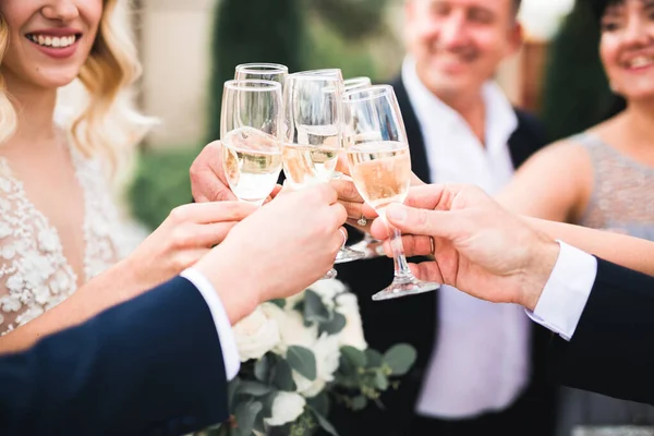 Party with friends. Group of cheerful young people carrying sparklers and champagne flutes.