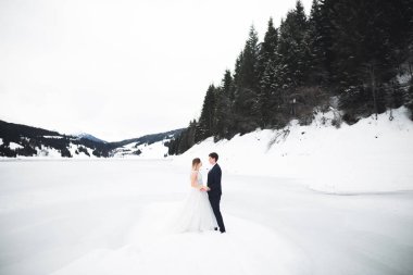 Düğün günü el ele tutuşan çift, damat ve gelin..