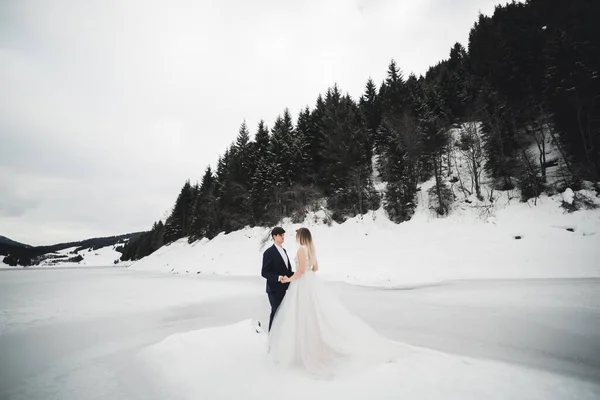 Das Brautpaar Hält Händchen Den Bergen — Stockfoto