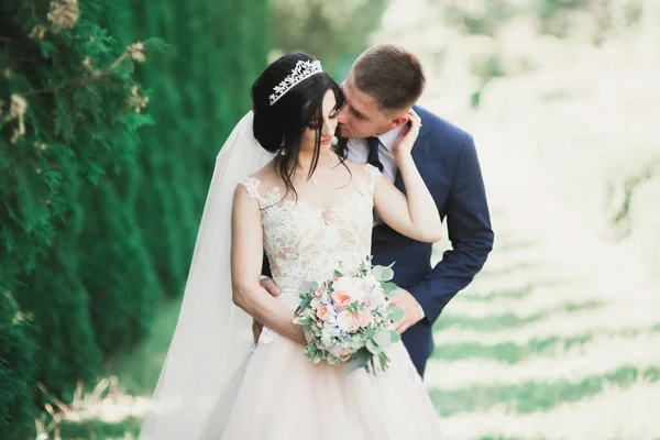 Stylish couple of happy stylish newlyweds walking in the park on their wedding day with bouquet.