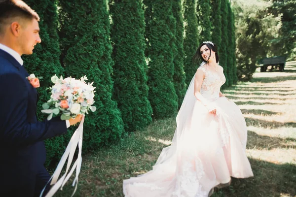 Casal Romântico Bonito Casal Recém Casados Abraçando Parque — Fotografia de Stock