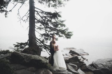 Bahar mevsiminde öpüşen düğün çifti. Yakın plan portre..