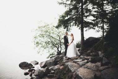 Bahar mevsiminde öpüşen düğün çifti. Yakın plan portre..