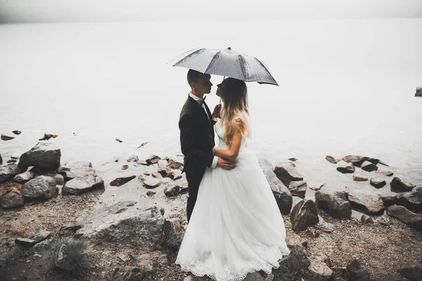 Kissing Wedding Couple Staying Beautiful Landscape — Stock Photo, Image