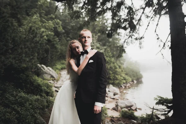 Romantico Fiaba Felice Coppia Sposi Che Abbraccia Bacia Parco Alberi — Foto Stock