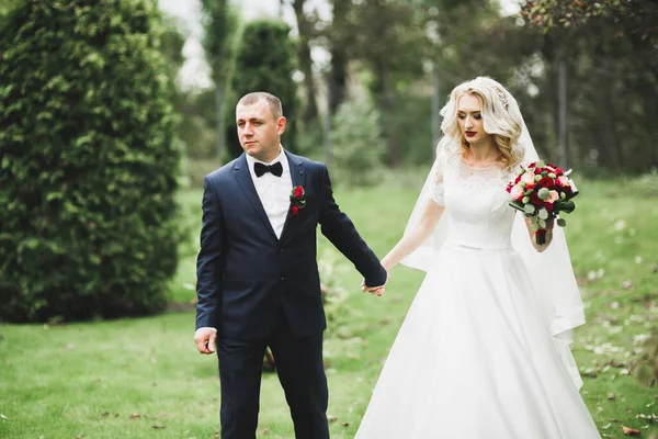 Romântico Conto Fadas Feliz Casal Recém Casado Abraçando Beijando Parque — Fotografia de Stock