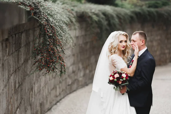 Glückliches Hochzeitspaar Beim Spaziergang Einem Botanischen Park — Stockfoto