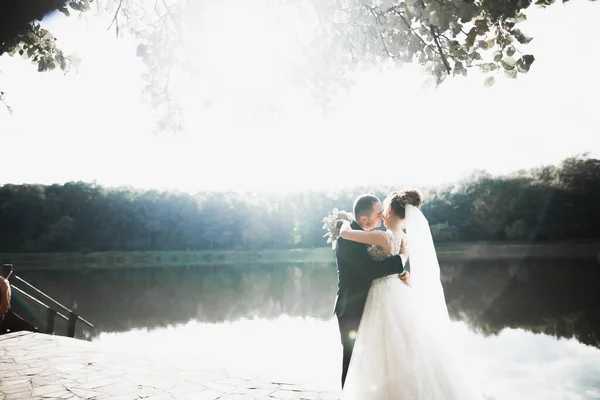 Casal Perfeito Noiva Noivo Posando Beijando Seu Dia Casamento — Fotografia de Stock