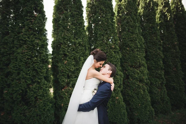 Elegante Pareja Recién Casados Felices Elegantes Caminando Por Parque Día — Foto de Stock