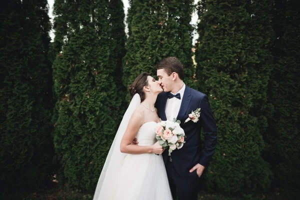 Красива Романтична Весільна Пара Молодят Обіймається Парку — стокове фото