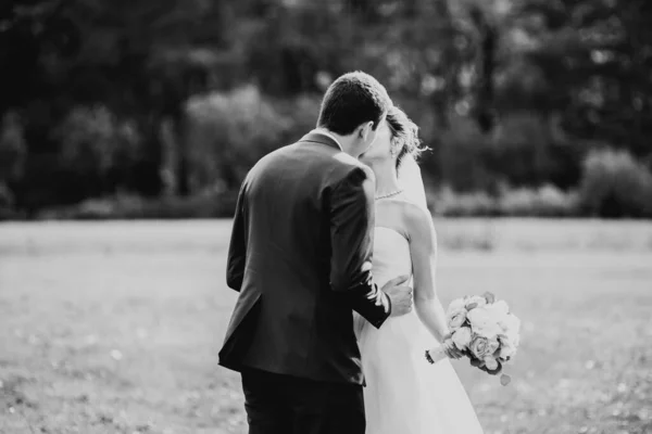 Pareja Recién Casada Corriendo Saltando Parque Mientras Toma Mano —  Fotos de Stock