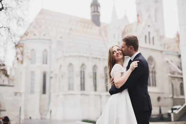 Casamento Casal Natureza Está Abraçando Uns Aos Outros Menina Modelo — Fotografia de Stock