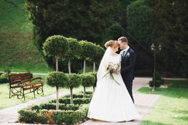 Romantik, peri masalı, mutlu yeni evli çift parkta sarılıp öpüşüyor, arka planda ağaçlar....