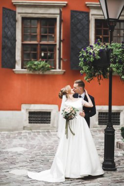 Mükemmel bir çift gelin ve damat düğün günlerinde poz verip öpüşürler..