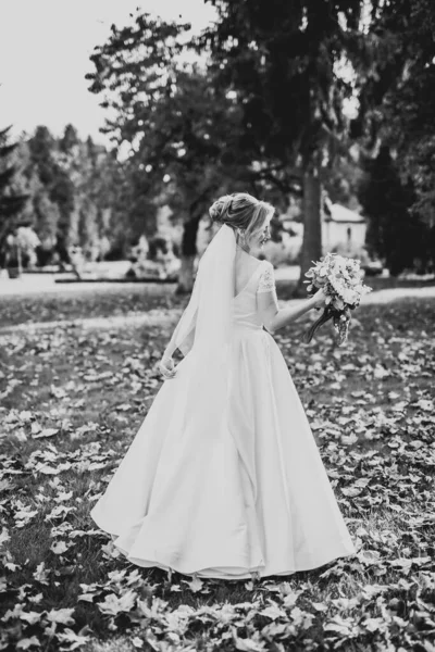 Красивая Роскошная Невеста Элегантном Белом Платье — стоковое фото