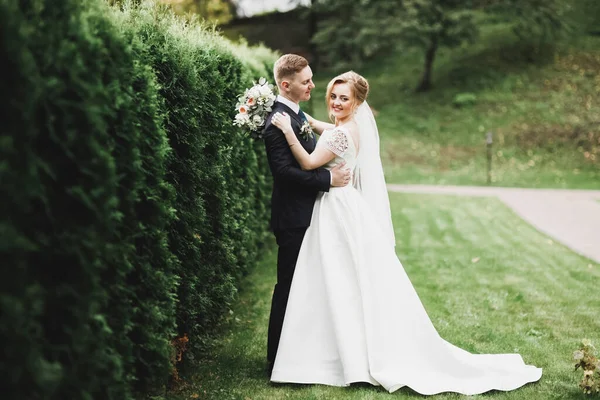 Romantisch Sprookje Gelukkig Pasgetrouwd Stel Knuffelen Kussen Een Park Bomen — Stockfoto