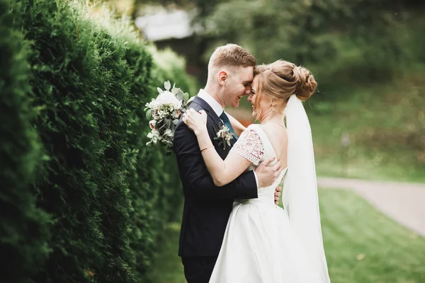 Romantisch Sprookje Gelukkig Pasgetrouwd Stel Knuffelen Kussen Een Park Bomen — Stockfoto