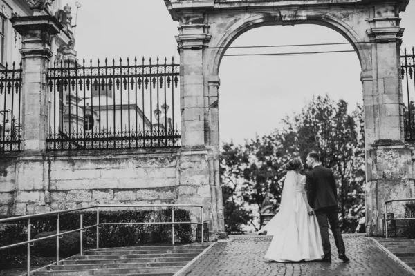 Casal Casamento Beijando Ficar Sobre Bela Paisagem — Fotografia de Stock