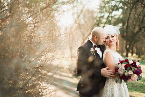 Romantic Fairytale Happy Newlywed Couple Hugging Kissing Park Trees Background — Stock Photo, Image