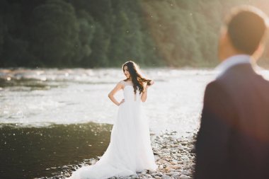 Zarif, şık, mutlu, sarışın gelin ve dağlardaki güzel bir nehrin arka planında harika bir damat..