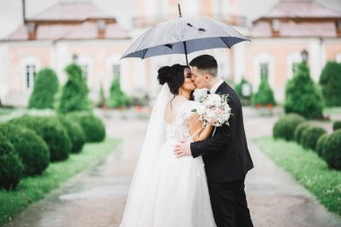 Mükemmel bir çift gelin ve damat düğün günlerinde poz verip öpüşürler..