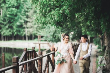 Düğün günü el ele tutuşan çift, damat ve gelin..