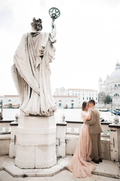 Casamento Casal Natureza Está Abraçando Uns Aos Outros Menina Modelo — Fotografia de Stock