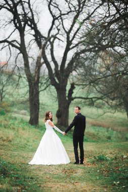 Botanik parkında yürüyen mutlu bir çift..