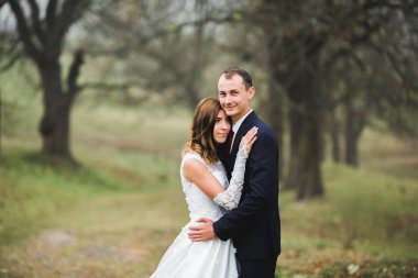 Romantik, peri masalı, mutlu yeni evli çift parkta sarılıp öpüşüyor, arka planda ağaçlar....