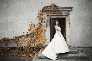 Gelinin güzel portresi moda gelinliği içinde tüylü, lüks makyaj ve saç stili..