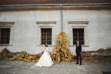 Genç ve güzel bir çiftin yakın çekimi..