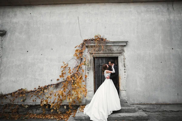 Mooie Bruid Bruidegom Omarmen Kussen Hun Trouwdag Buiten — Stockfoto