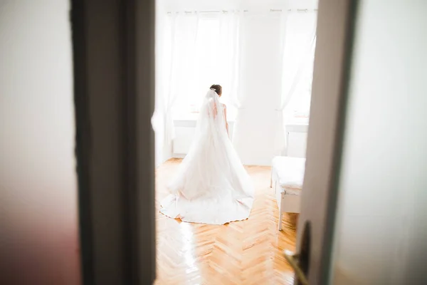 Beautiful Bride Wearing Fashion Wedding Dress Feathers Luxury Delight Make — Stock Photo, Image