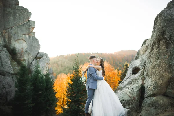 Sonnenschein Porträt Von Glücklichen Braut Und Bräutigam Draußen Der Natur — Stockfoto