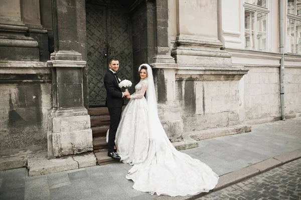 Υπέροχο Ευτυχισμένο Ζευγάρι Γάμου Νύφη Μακρύ Λευκό Φόρεμα Ποζάρουν Στην — Φωτογραφία Αρχείου