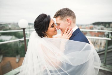 Romantik düğün anı, yeni evli çiftin gülümseyen portresi, gelin ve damadın kucaklaşması.