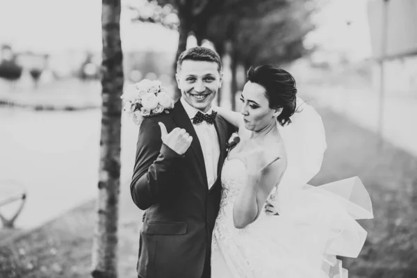 Bella Coppia Sposi Romantici Che Abbracciano Nel Parco — Foto Stock