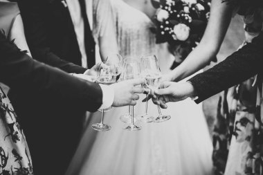 Arkadaşlarla parti. Maytap ve şampanya bardakları taşıyan bir grup neşeli genç..